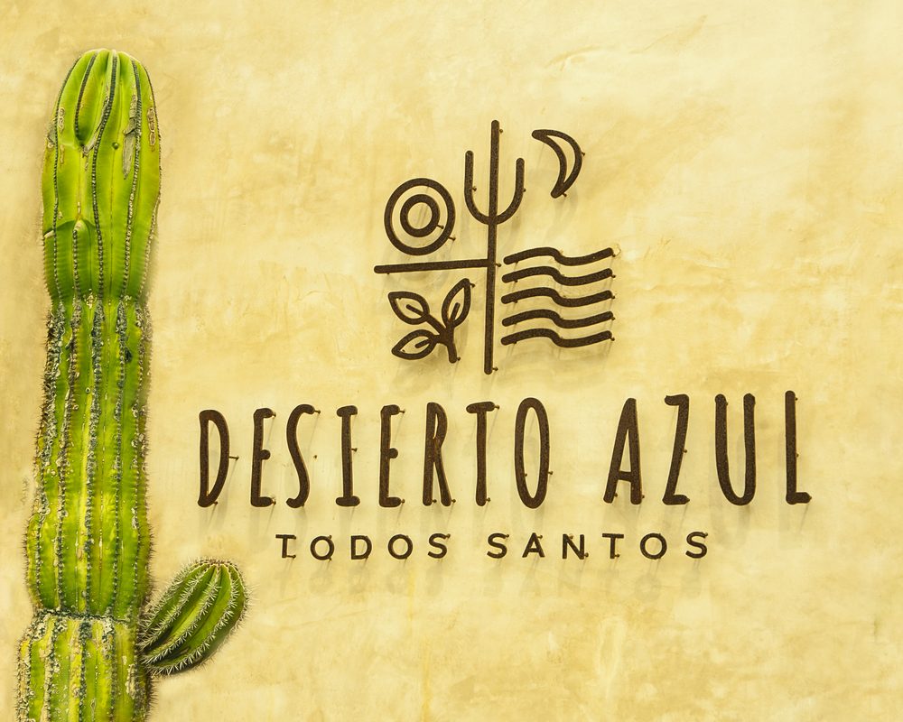 Desierto Azul, Todos Santos